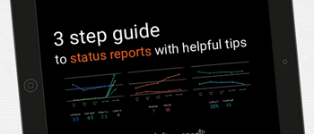 3 Step Guide To Status Reports